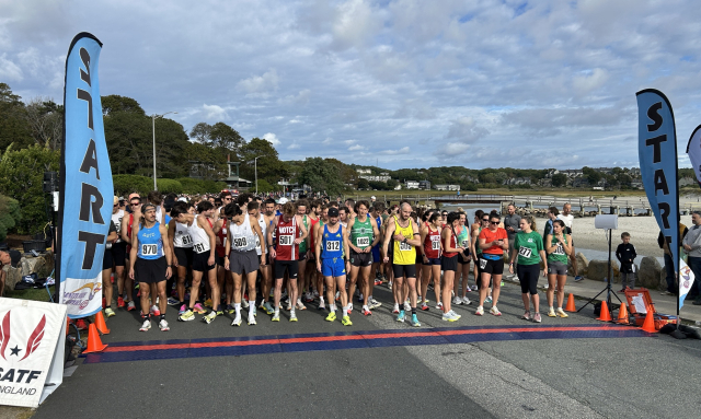 Runners at the start